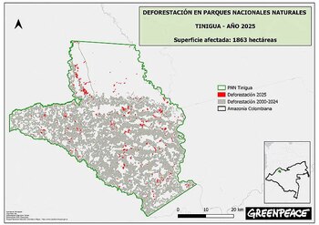 Los puntos rojos señalan la deforestación en el Parque Nacional Natural Tinigua - crédito Greenpeace Colombia