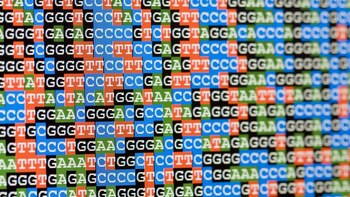 „Die Sequenzierung des gesamten menschlichen