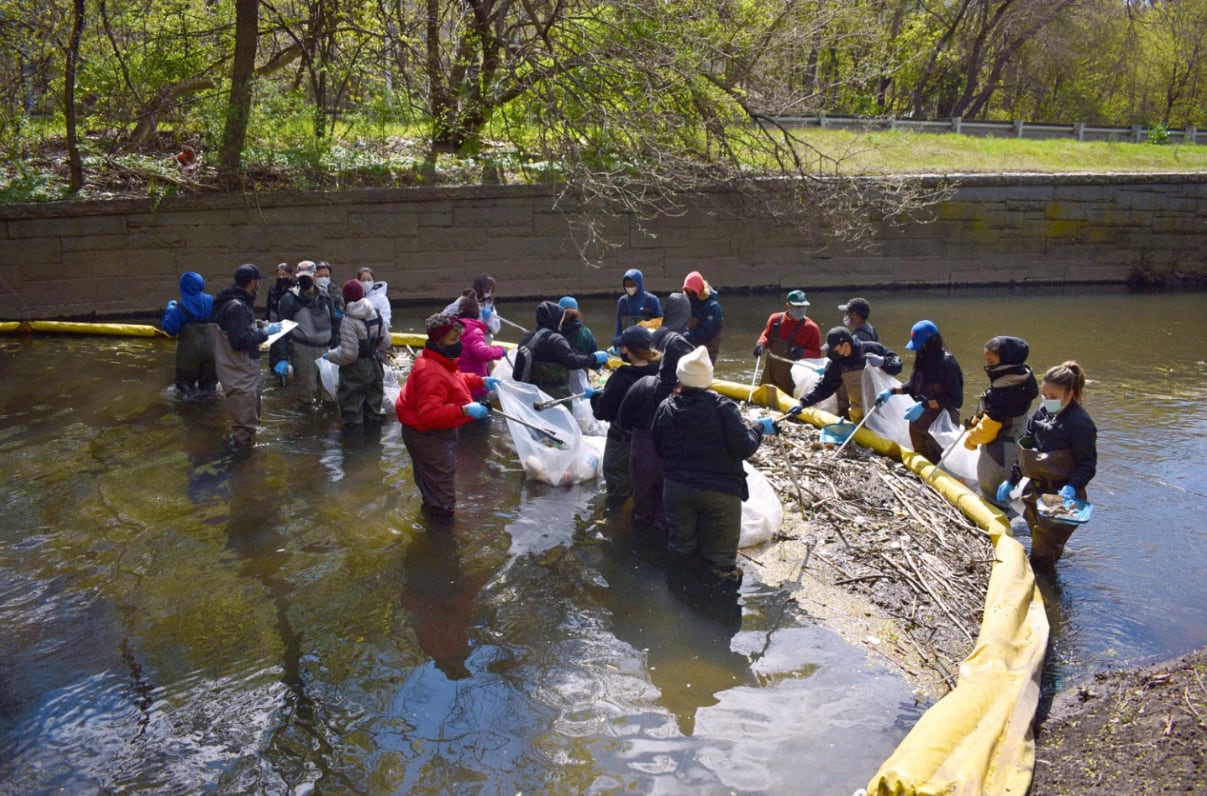 La recuperación del río Bronx avanzó por la presión de comunidades locales, organizaciones ambientales y leyes como la Clean Water Act (Bronx River / Alliance via AP)