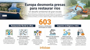 Infografía sobre restauración fluvial en Europa. Muestra un río con presa (antes) y una excavadora quitando la presa (después). Incluye estadísticas clave.
