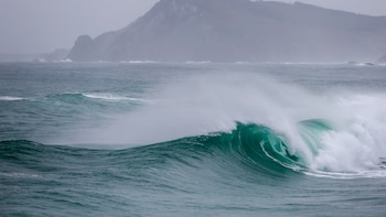 Sigue en directo la última