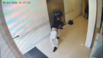 Desesperación, tiros y un ladrón reducido por los propios clientes: así fue el violento intento de robo en un banco de La Matanza
