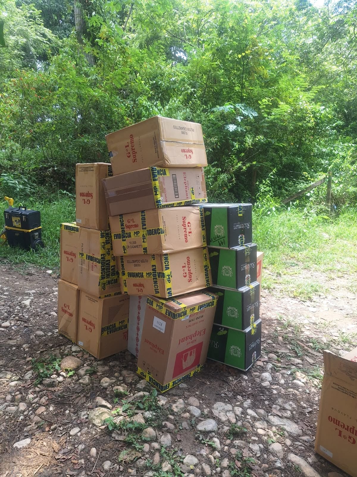 Las cajas de cigarrillos con sellos de evidencia están apiladas al aire libre entre la vegetación. (PNCdeGuatemala)