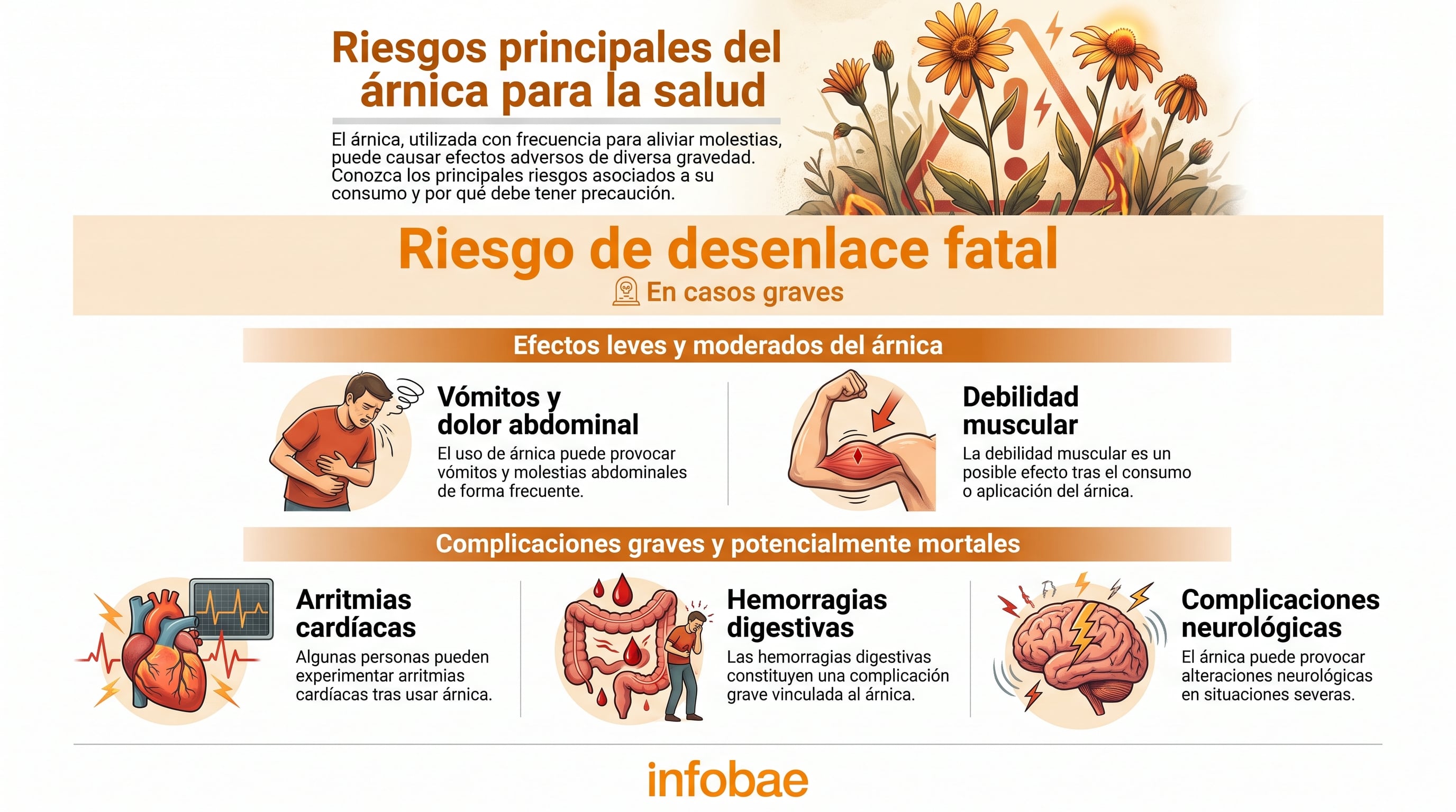 Efectos adversos del árnica: desde leves a riesgo fatal. (Imagen Ilustrativa Infobae)