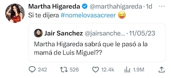 Martha Higareda sobre el misterio