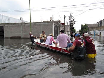 Más de 600 familias están