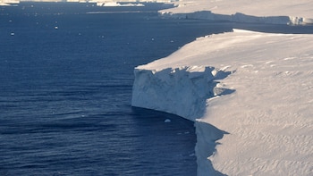 Un estudio revela que un