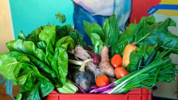 La propuesta agroecológica solía llegar