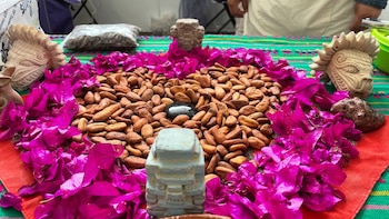 La Feria de los alimentos