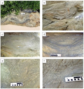 El equipo de investigación examina