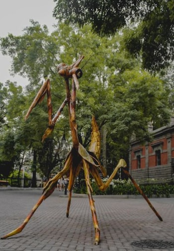 Foto: @armando_rmz10 / Instagram