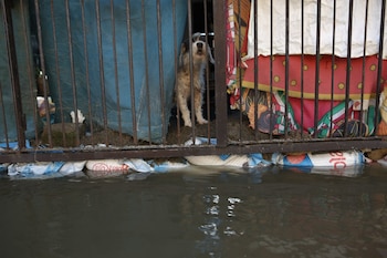 Desbordamiento de presas. FOTO: CARLOS