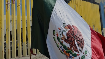 Trump sugiere invocar el Artículo