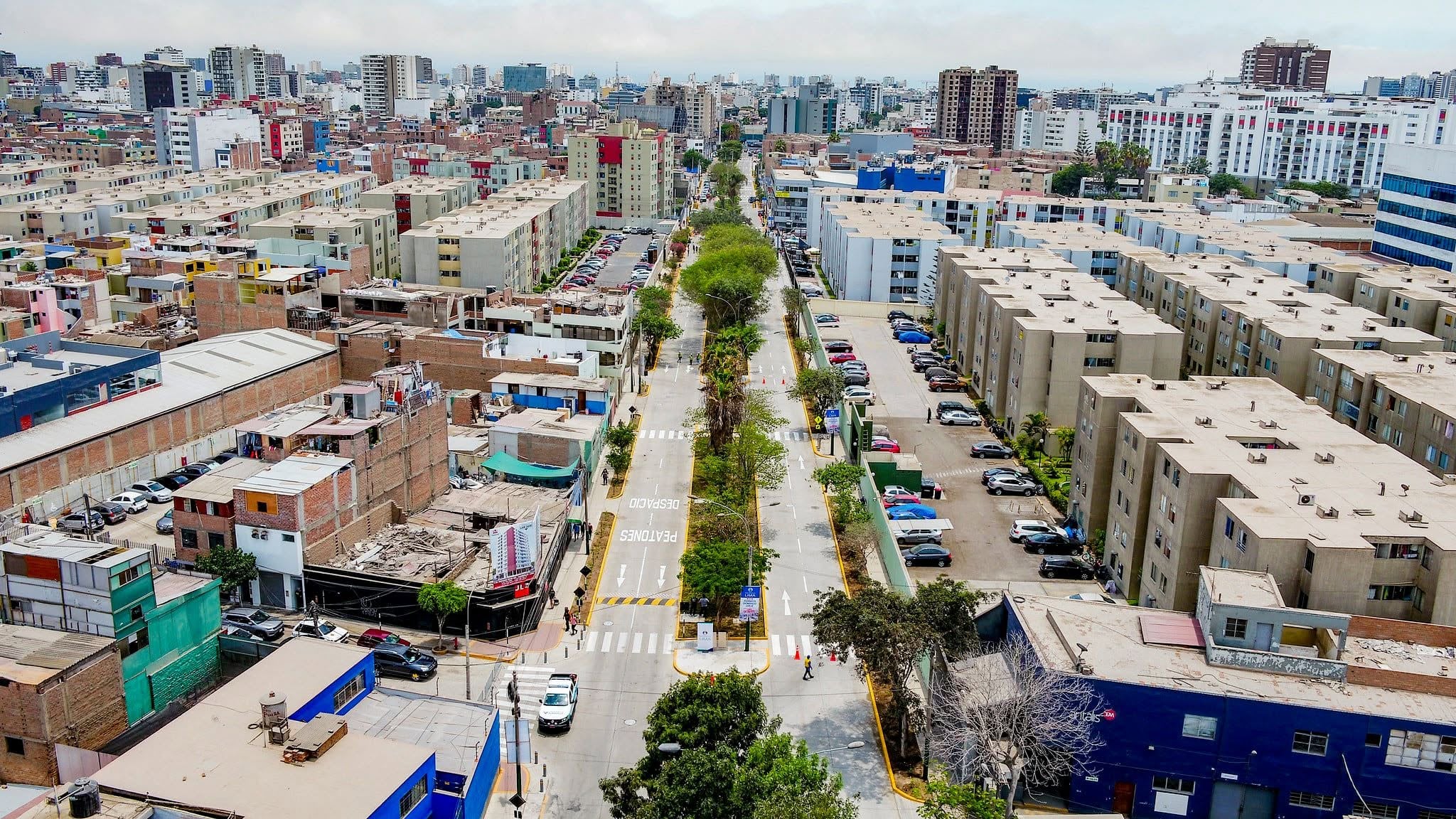 Una vista aérea muestra una avenida arbolada en el distrito de Surquillo, Lima, flanqueada por edificios residenciales y vehículos estacionados. (Municipalidad de Surquillo)
