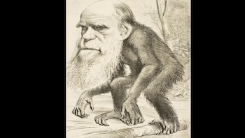 El legado teórico de Darwin