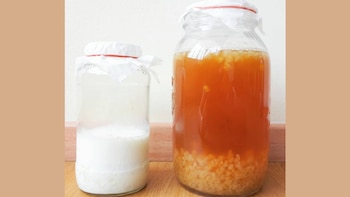 ¿Búlgaros de leche o de