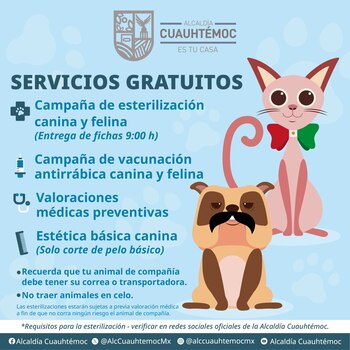 Estos son los servicios que