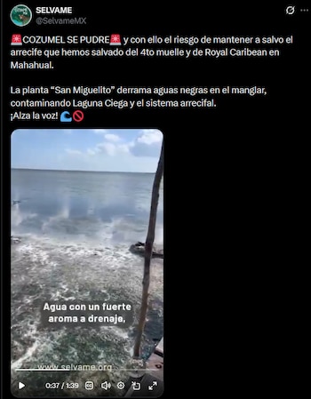 Se trata de una problemática grave que pone en riesgo al bienestar del medio ambiente en la zona, donde existen mayormente manglares y cuerpos de agua importantes.
