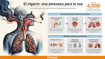 Infografía detallada de una persona fumando, mostrando el recorrido del humo en la garganta y pulmones, y sus efectos nocivos en la voz y órganos internos.