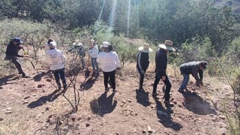 El EZLN también cuestiona la