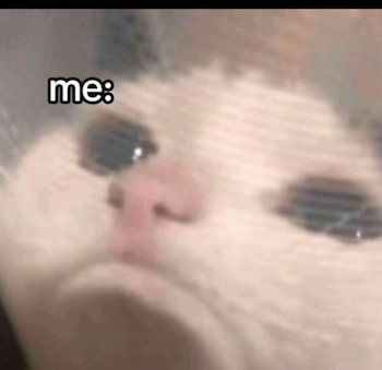 Primer plano de un gato blanco con ojos grandes y tristes, mirando hacia adelante. La imagen es borrosa y tiene el texto "me:" en la esquina superior izquierda