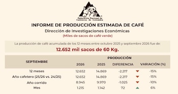 Entre octubre de 2025 y septiembre de 2026, Colombia produjo 12,65 millones de sacos de 60 kilogramos, frente a 14,87 millones del año cafetero anterior - crédito FNC