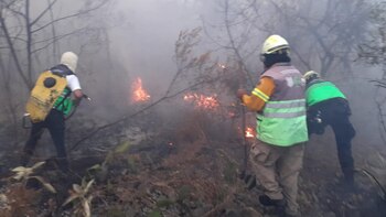 Bomberos lograron controlar el incendio