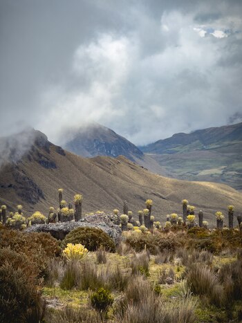 Parque Nacional Natural Los Nevados