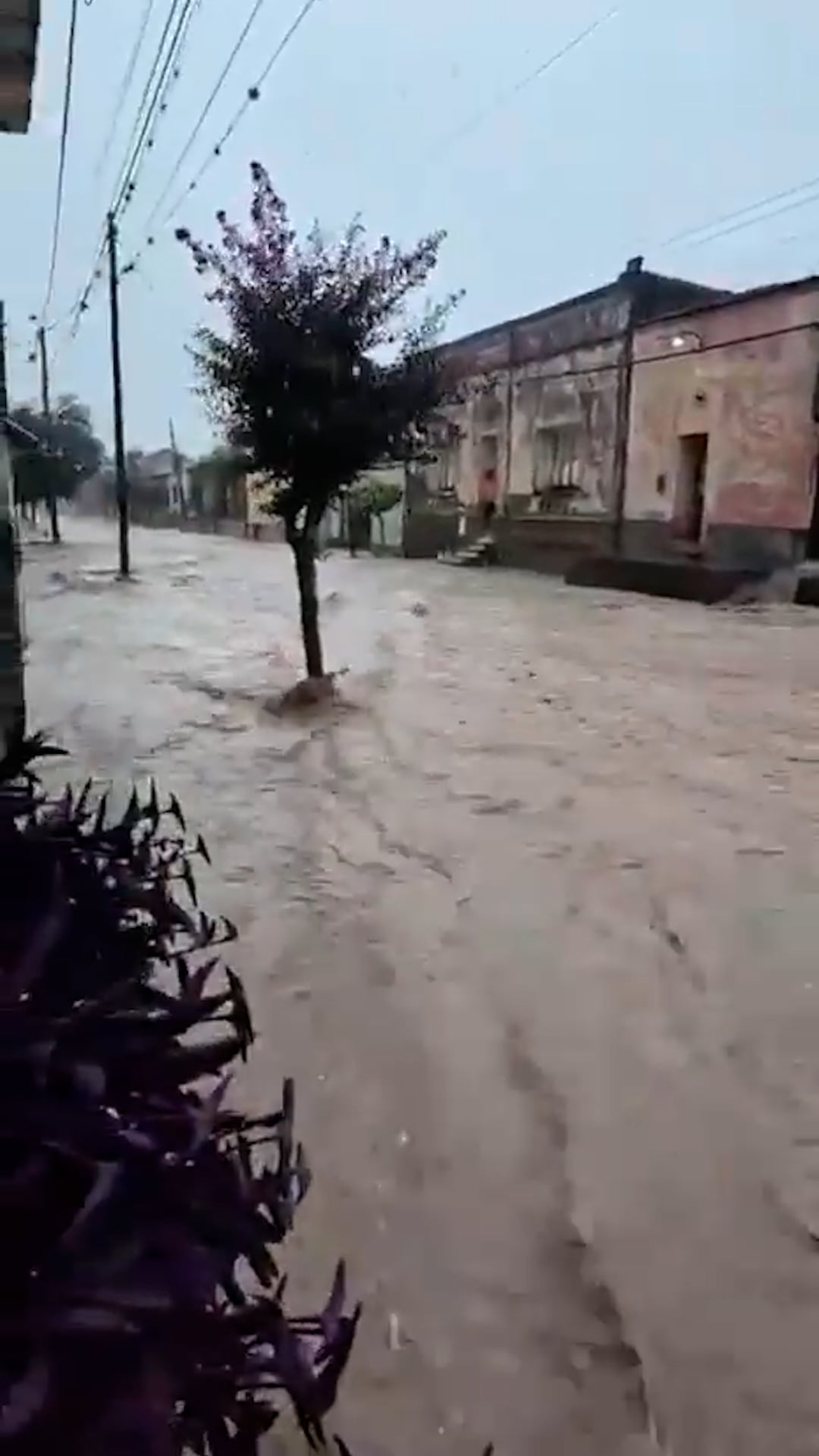 Las calles quedaron anegadas por la importante cantidad de agua caída que cayó en una hora (enfoque_salta)