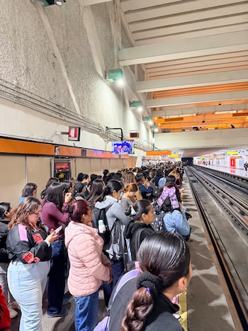 Avance en tiempo real de las diversas líneas de la red de transporte público capitalino.