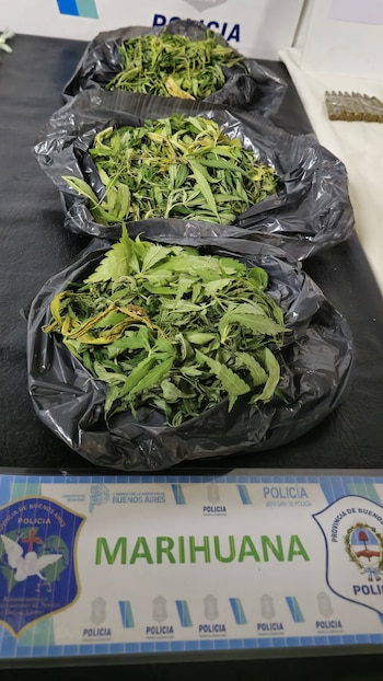 La Policía Bonaerense incautó 40,5