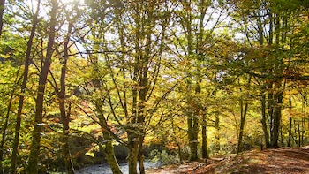 La ruta de senderismo que
