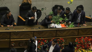 Parlamentarios afines a Evo Morales