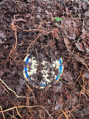 El equipo de manejo especializado realizó la destrucción controlada de los artefactos, siguiendo protocolos de seguridad para proteger a la comunidad - crédito prensa EJC