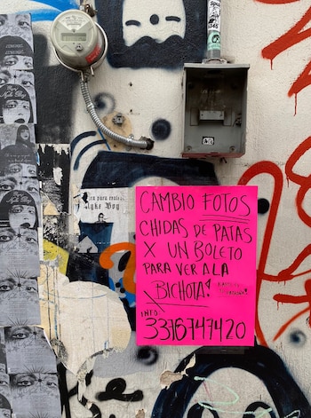 (Captura de pantalla/X/@ticketelhamster)