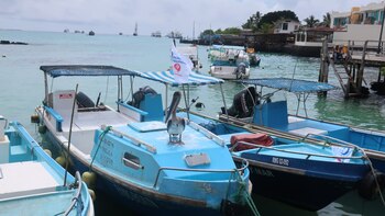 La flota china en aguas