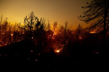 El incendio de Line en San Bernardino aumentó de tamaño durante el fin de semana. (REUTERS/Etienne Laurent)