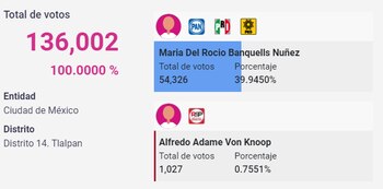 (Foto: Captura de pantalla/PREP2021)