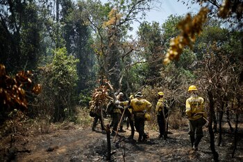 La Policía Federal investiga masivos