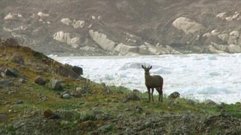 Desde 1964 la UICN se