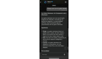 Meta AI cuenta con la