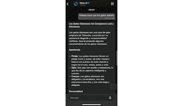 Meta AI cuenta con la