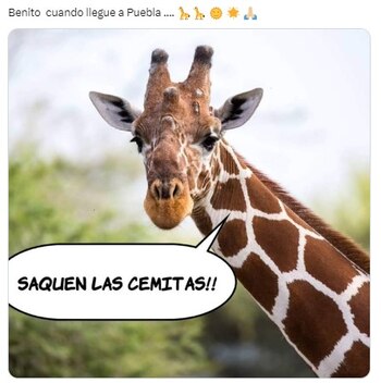 La creatividad de los internautas