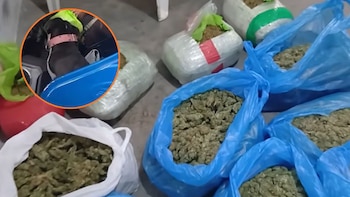 La intervención culminó con el decomiso de 15 kilos de marihuana y teléfonos celulares, mientras que los detenidos fueron puestos a disposición de la Dirandro del Callao - Créditos: Captura de pantalla de Latina.