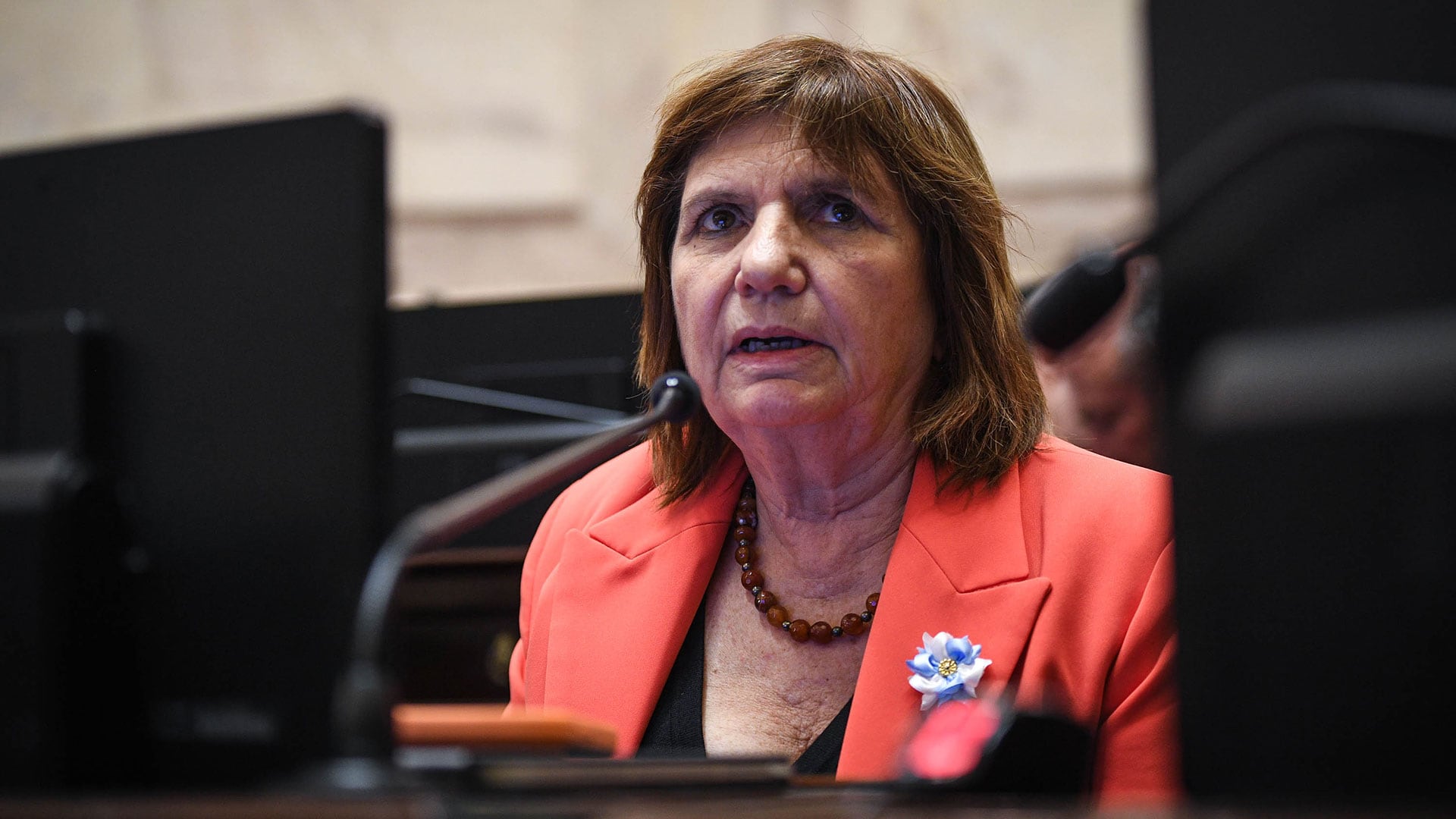 La jefa libertaria en la Cámara alta, Patricia Bullrich (Prensa Senado)