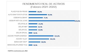 FUENTE: invertironline.com, BNA