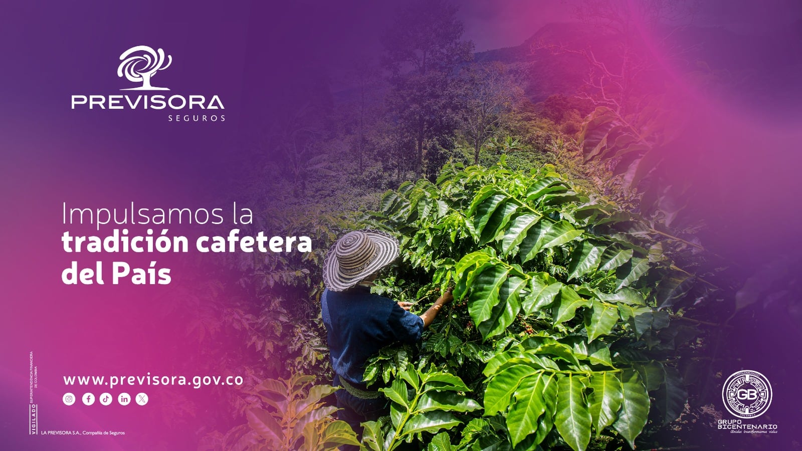 La nueva póliza emitida por La Previsora S.A. cubre 12.304 hectáreas y beneficia a 6.369 caficultores en zonas rurales colombianas. (La Previsora)