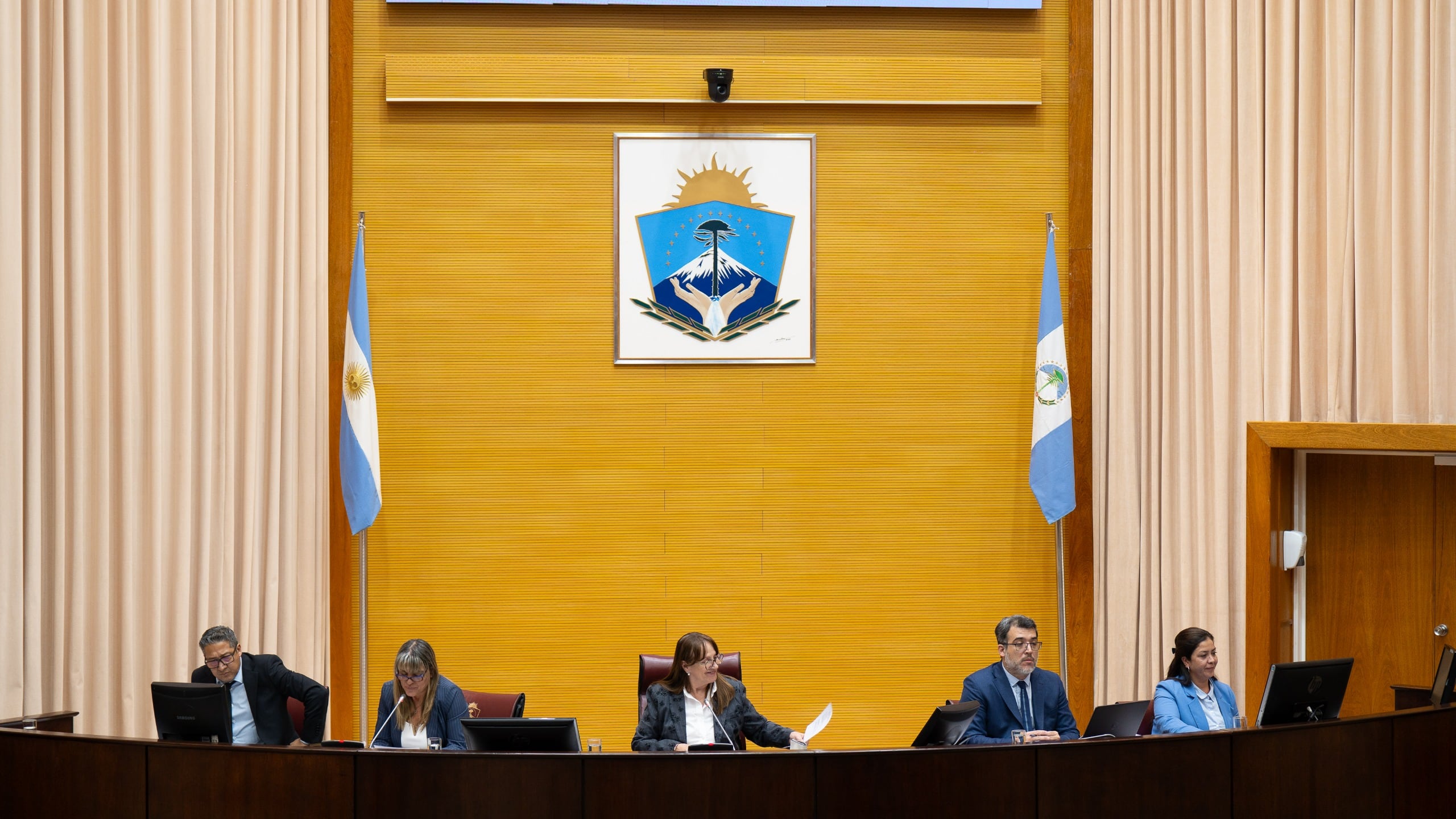 La sesión se llevó a cabo este miércoles y fue presidida por la vicepresidenta 1° a cargo de la presidencia de la Legislatura, Zulma Reina (Foto @LegislaturaNqn)