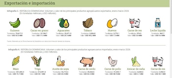 El primer trimestre de 2026 trajo cifras inéditas y sorpresas en el sector agropecuario dominicano. Tras los nuevos datos, emergen cambios en mercados, producción y exportaciones que alteran el equilibrio tradicional.
