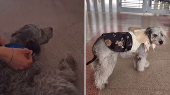 Los alumnos están encantados con